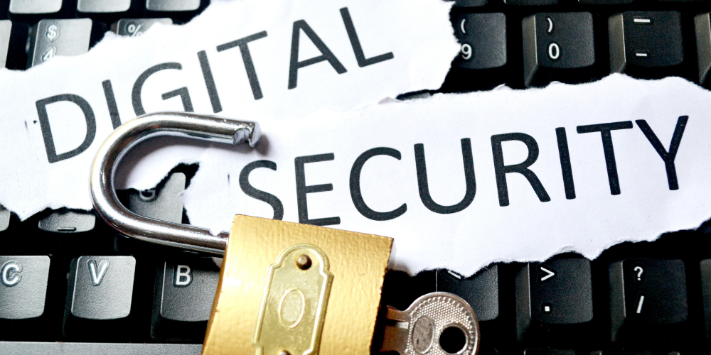 Got Fake Certificates? How To Check Fake Certificate Online