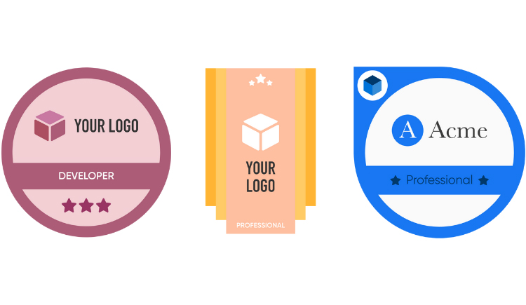 How Does Gamification Using Digital Badges Work