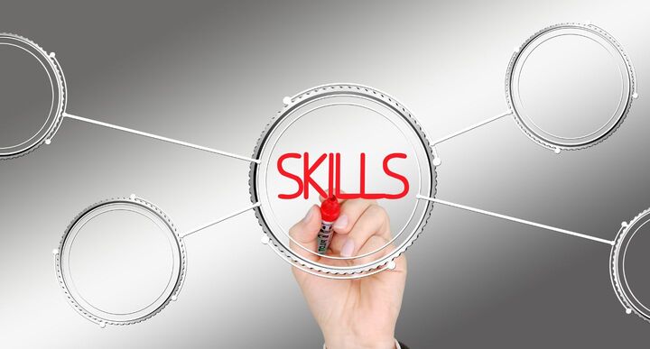 Introduction To Professional Skills Training